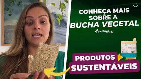 BUCHA VEGETAL É MELHOR QUE ESPONJA SINTÉTICA | O QUE É?