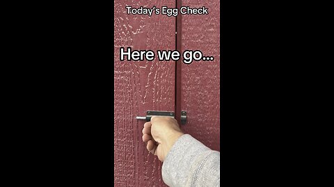 Today’s Egg Check!