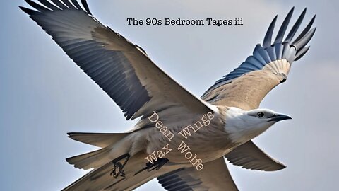 The 90s Bedroom Tapes III "Wax Wings" - Dean Wolfe [Lo-Fi Art Pop Rock]