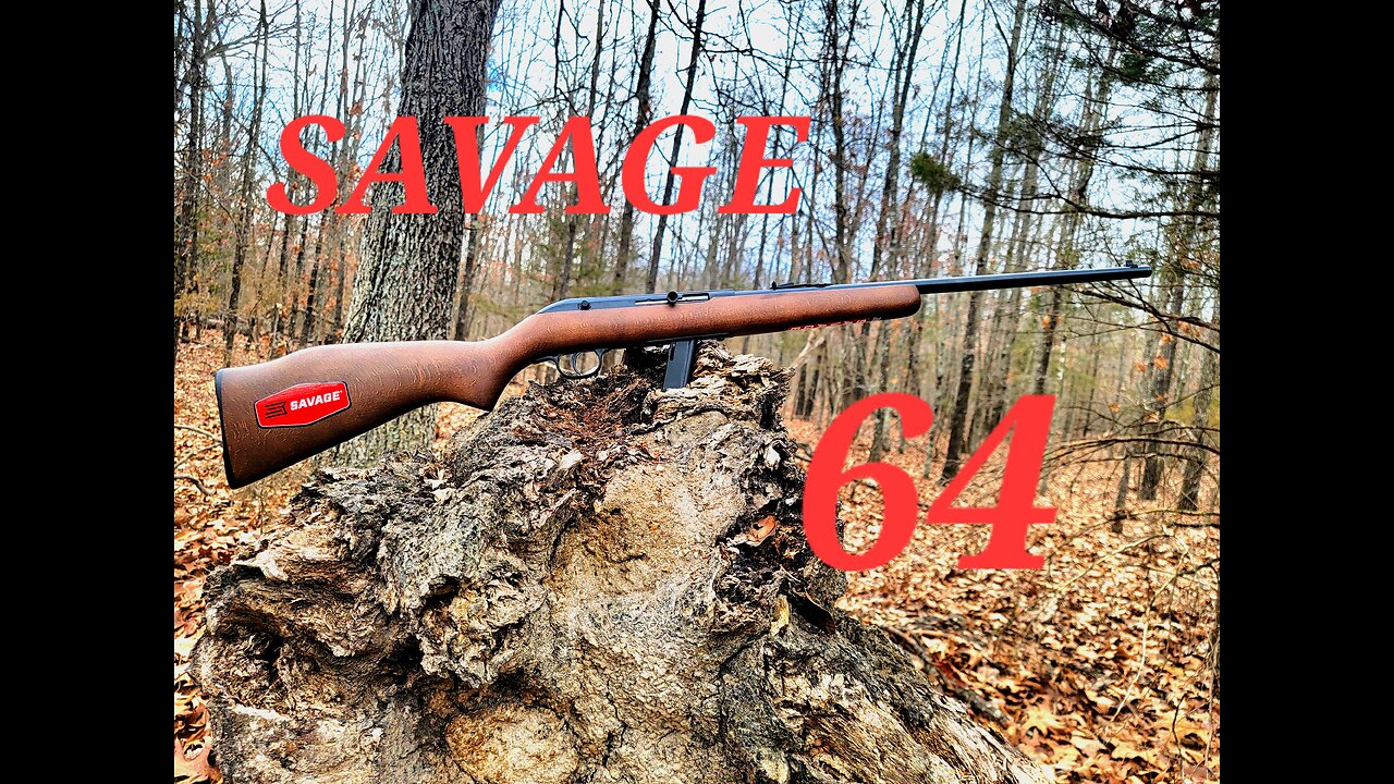 Savage 64 Cheap semi-auto??