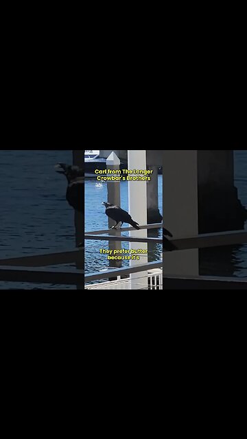 Carl from The Longer Crowbar's Brothers