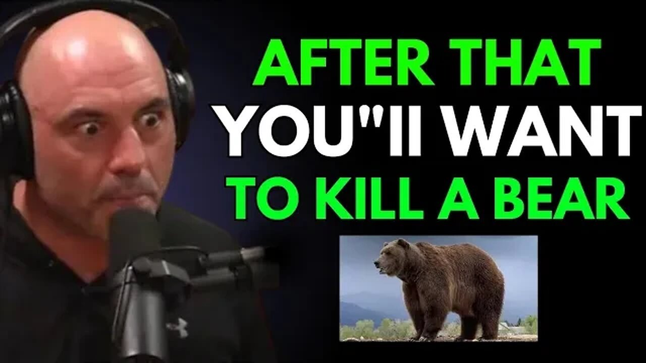 Joe Rogan explains why bears need to be killed | Joe Rogan Experience