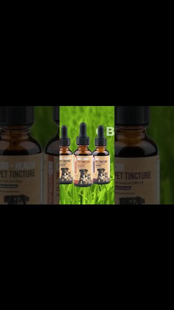 Your pet is more than just a pet —they're a member of the family—so they deserve the best nutrition