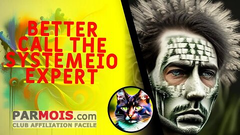 Better Call The SystemeIO Expert