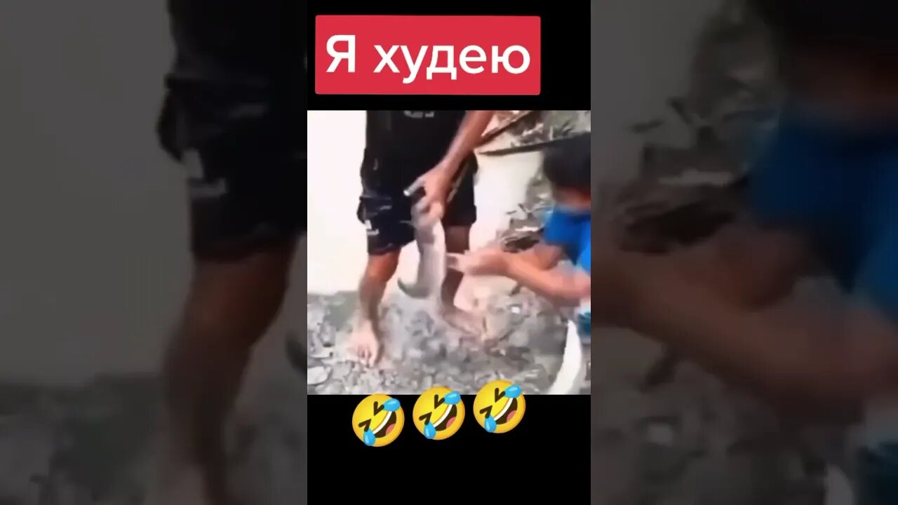 Baliq ovuga borganimda baliqchilaga yuboramiz