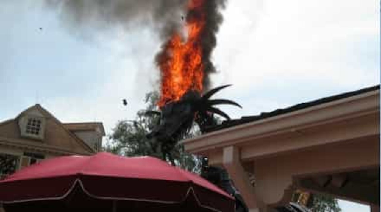 Drago completamente in fiamme durante una parata a Disney World