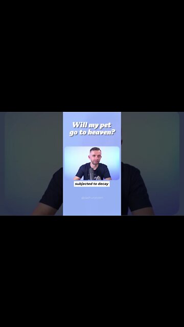 Do Pets Go To Heaven?