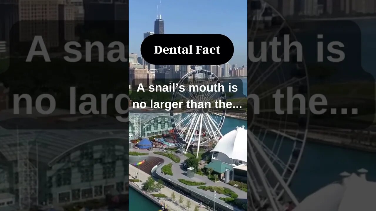 Do you think so? Tell us in the comment section. 👉 #shorts #dentalcare
