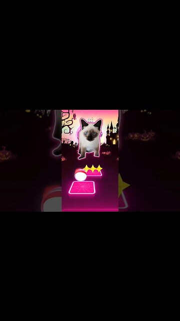 Coffin dance cat part 2 #music #shorts #cat #tileshop #animalsong #mobilegaming