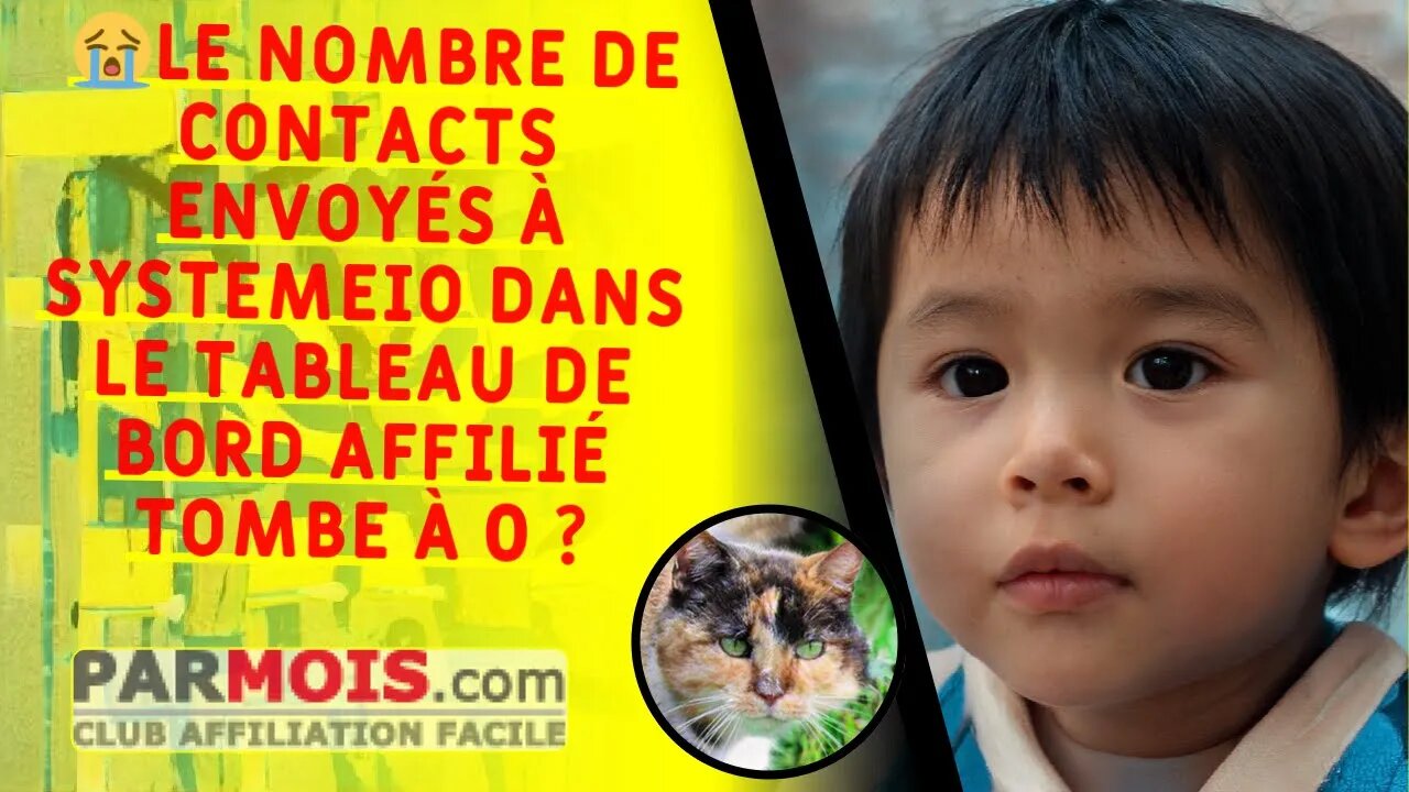😭 Le nombre de contacts envoyés à SystemeIO dans le tableau de bord affilié tombe à 0 ?