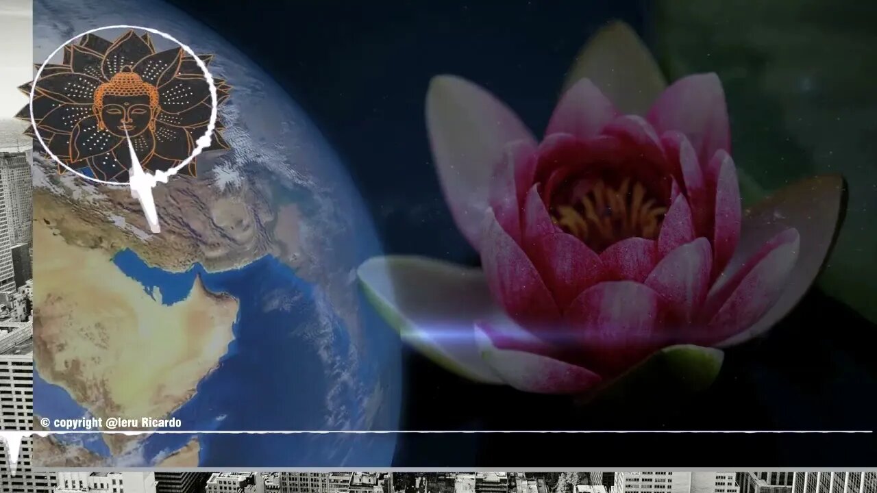 LOTUS 06 [FRAÇÃO] + CONSCIOUS MEDITATION + FOCUS