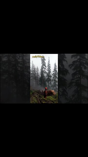 Cutting trees was gonna go worng #tree #shorts