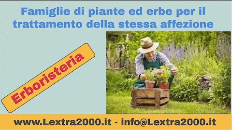 Famiglie di piante ed erbe per il trattamento di una affezione