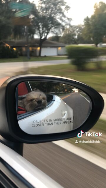 Sunny & 75 in her daddy’s Miata
