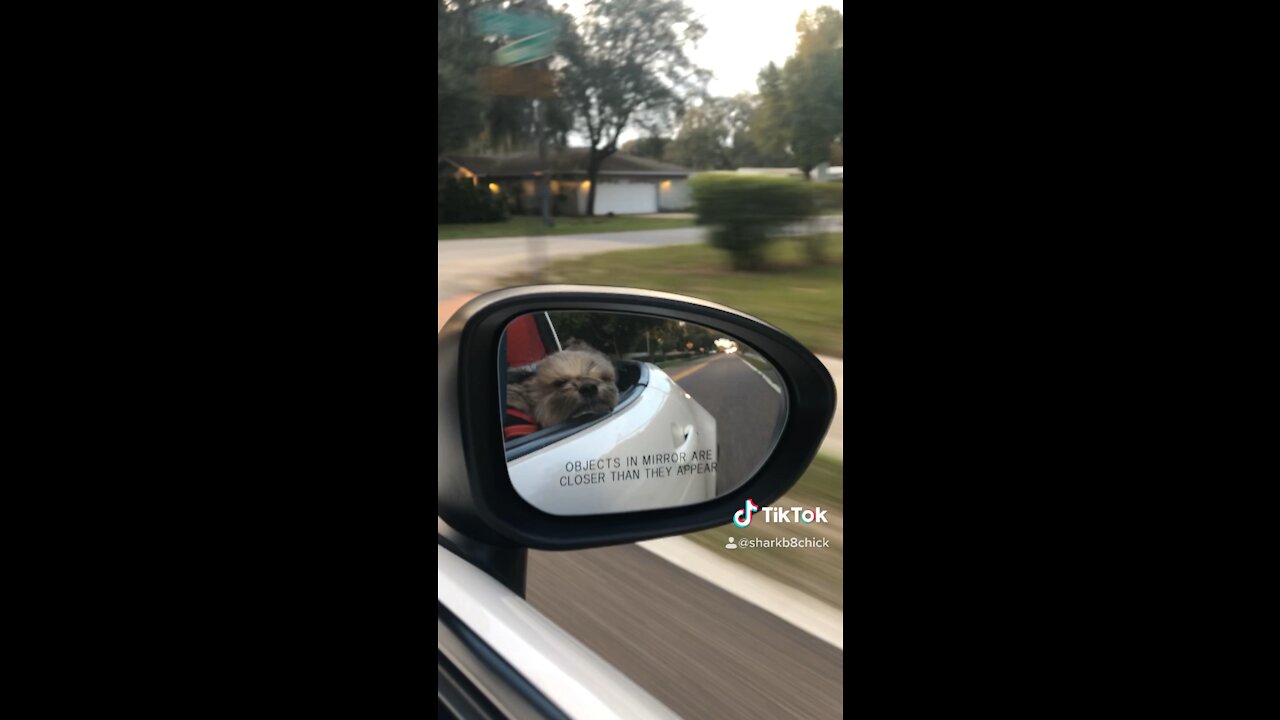 Sunny & 75 in her daddy’s Miata