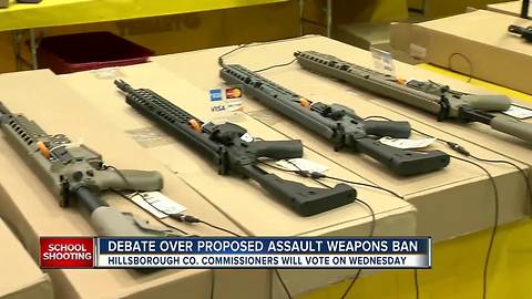 Hillsborough County Commissioner hoping to ban the sale of assault style weapons