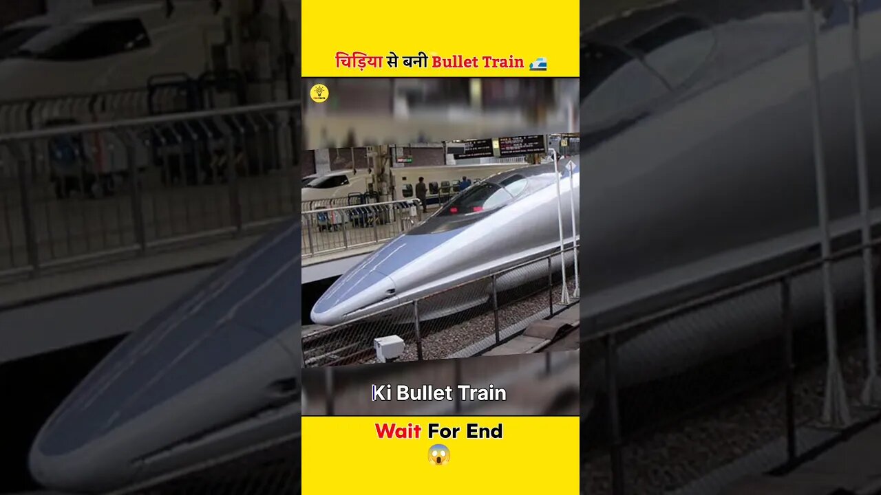 चिड़िया से बनी Bullet Train 😨 #shorts #faqfacts