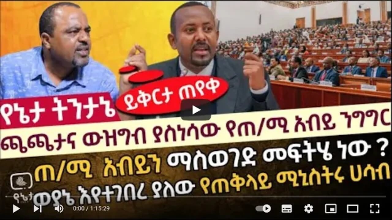 ጫጫታና ውዝግብ ያስነሳው የጠ ሚ አብይ ንግግር ጠ ሚ አብይን ማስወገድ መፍትሄ ነው ወያኔ እየተገበረ ያለው የጠቅላይ ሚኒስትሩ ሀሳብ 8 July 2022