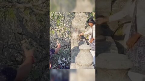 Monkey's business...🐒😅