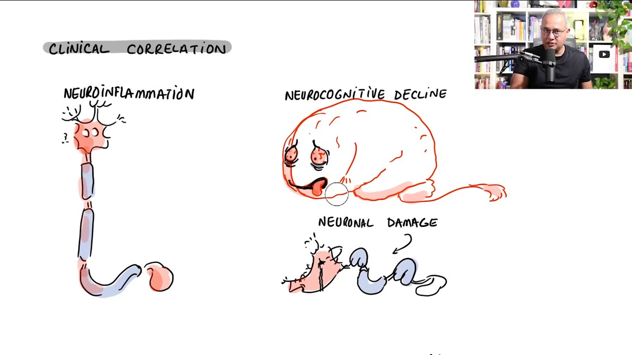 How Spike Protein Damages Mitochondria