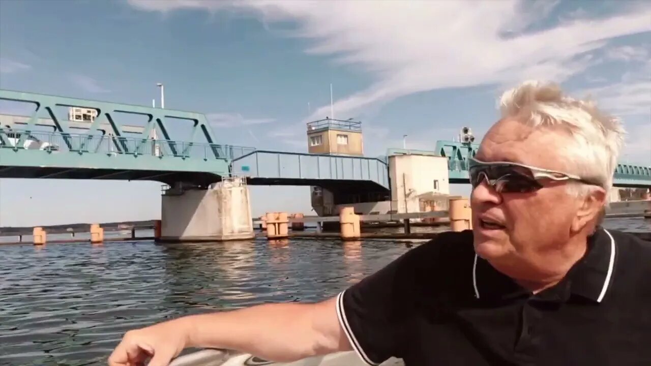 Ein Wolf auf dem Peenestrom