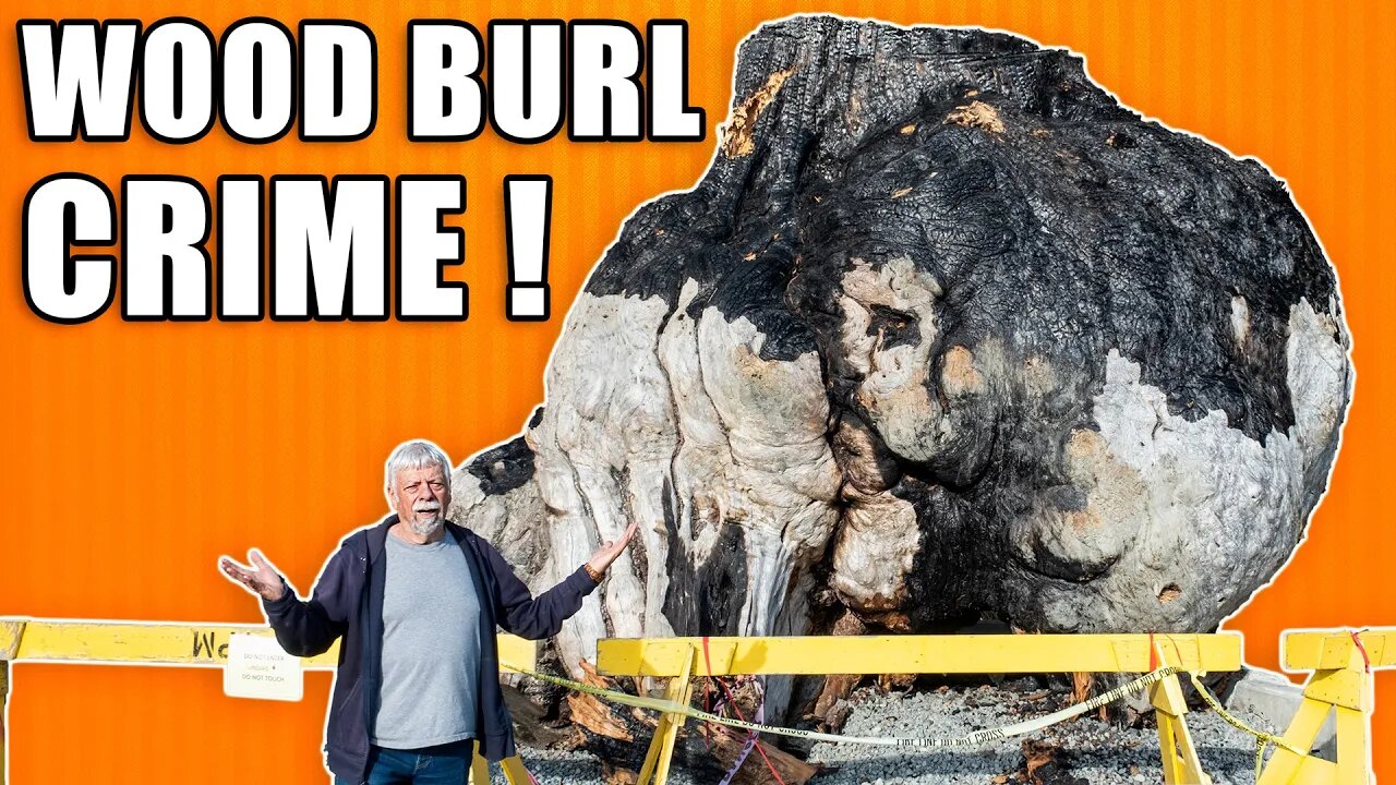 All About Wood Burls Including the Crime Scene Connection