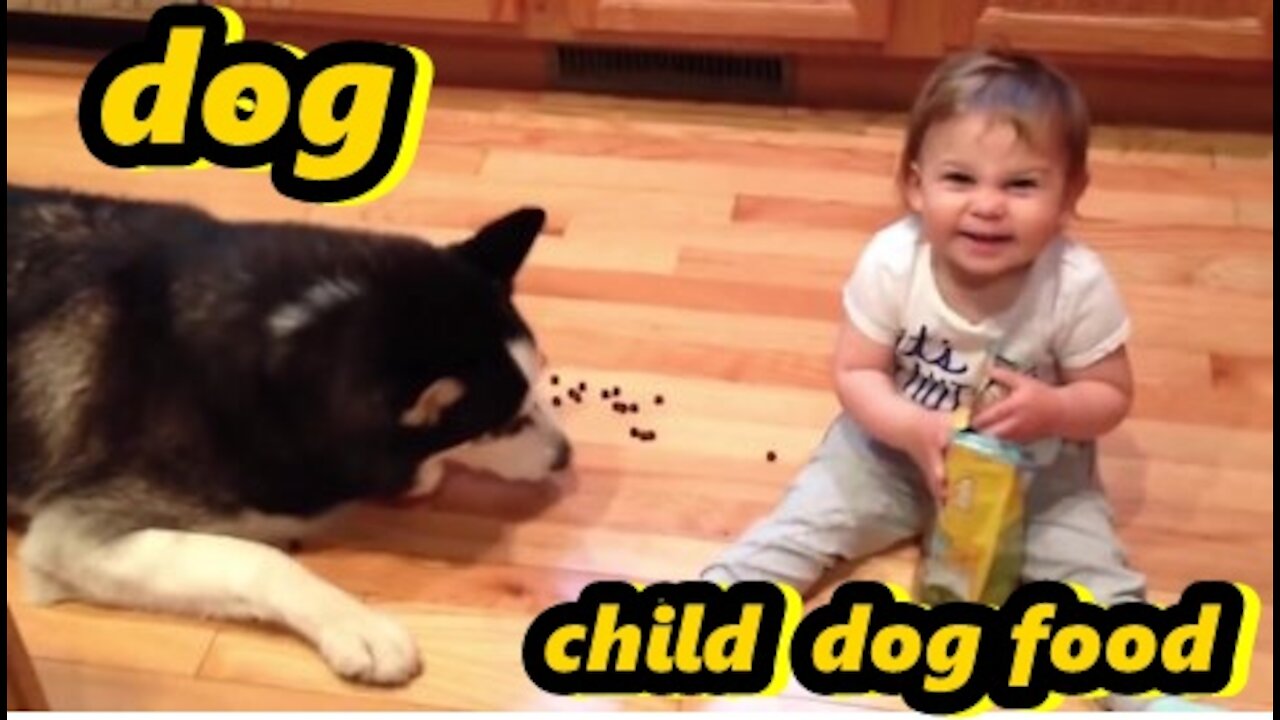 child with dog eating dog food