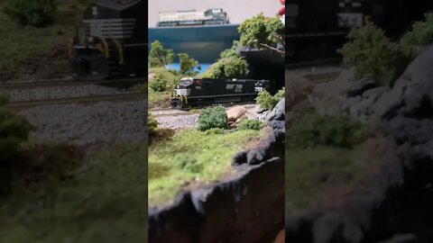 NS mixed freight leaving a tunnel