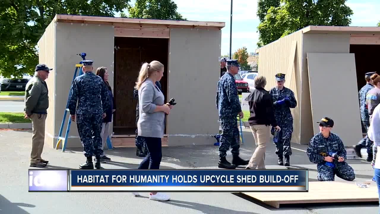 Habitat shed build