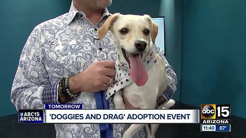 "Doggies and Drag" adoption event in the Valley