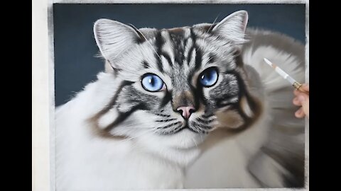 GUY DRAWS A HYPER REALISTIC CAT