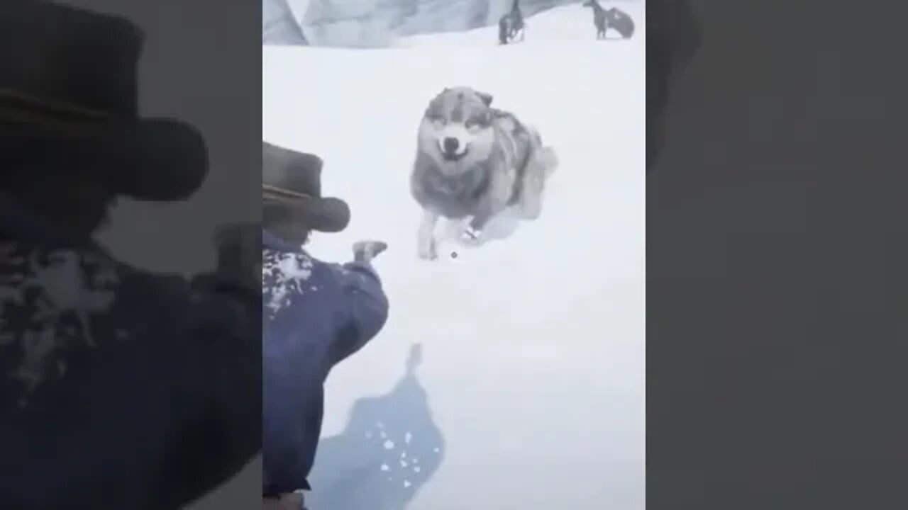 Ataque de Lobos - Read Dead Redemption 2 - Wolves attack
