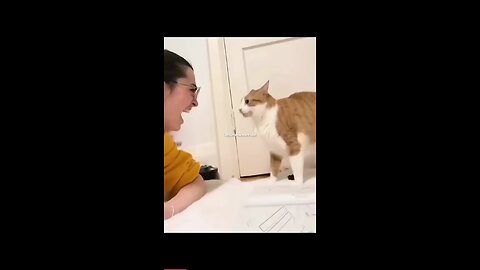 This cat literally just blown up 😅😅 | funny cat | funny dog | cute animals |