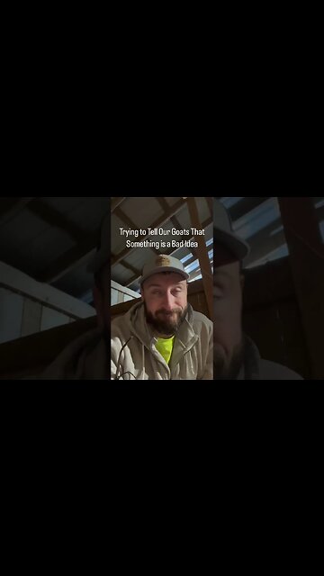 Trying to Tell Our Goats That Something is a Bad Idea #shorts