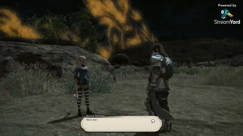 Final Fantasy XIV Questing