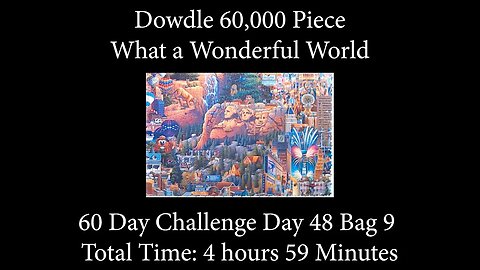 60,000 Piece Challenge What a Wonderful World Jigsaw Puzzle Time Lapse - Day 48 Bag 9!