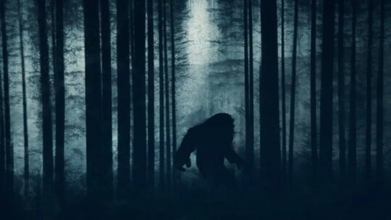 Sasquatch Cryptids and Paranormal