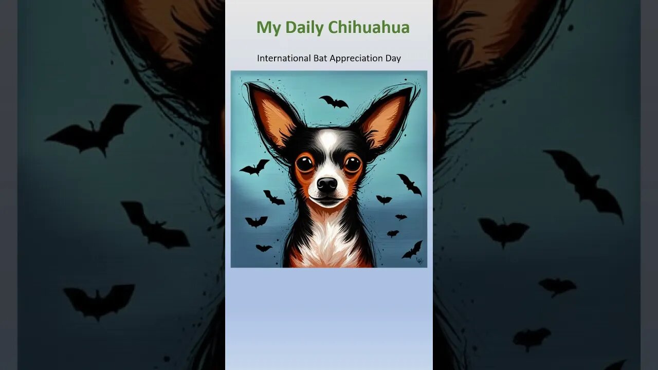 Chihuahua Nation commemorates International Bat appreciation day. #shorts