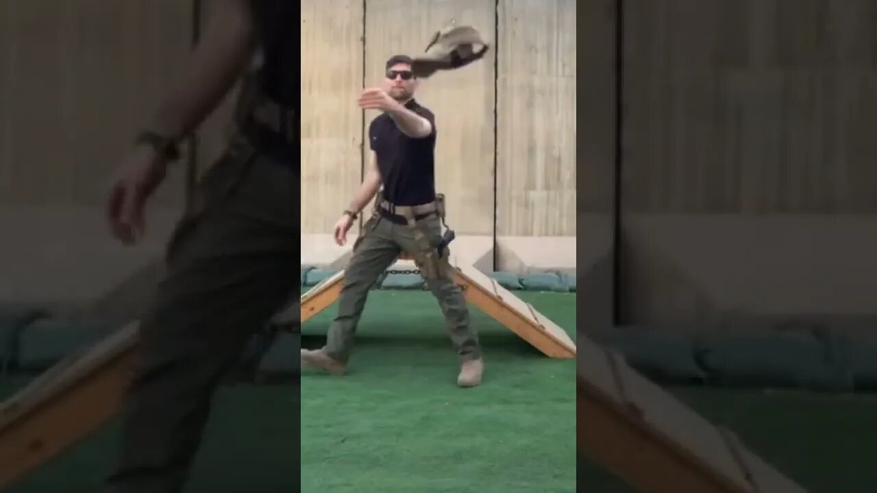 The best transition of all
