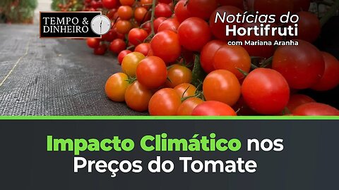 Temperaturas interferem nas oscilações dos preços do tomate. Queda nas cotações do mamão formosa