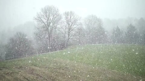 4+ hours of #calm #holiday #snowfall