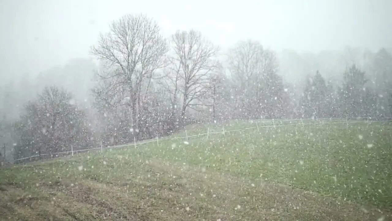 4+ hours of #calm #holiday #snowfall