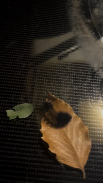 🥹 i’m always saving something😆