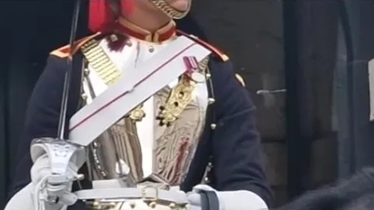 The kings guard and the Dragonfly #horseguardsparade