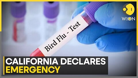 'California' Confirms It's 1st Severe Human Case Of 'H5N1 Bird Flu' 'WION' News 'H5N1' Report