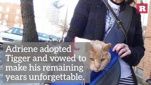 Tigger The Cat’s Second Chance | Rare Animals