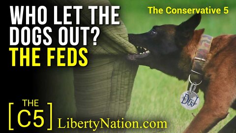 Who Let the Dogs Out? The Feds – C5 TV