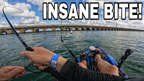 This is WHY you Kayak Fish Crazy Bridges in The Florida Keys