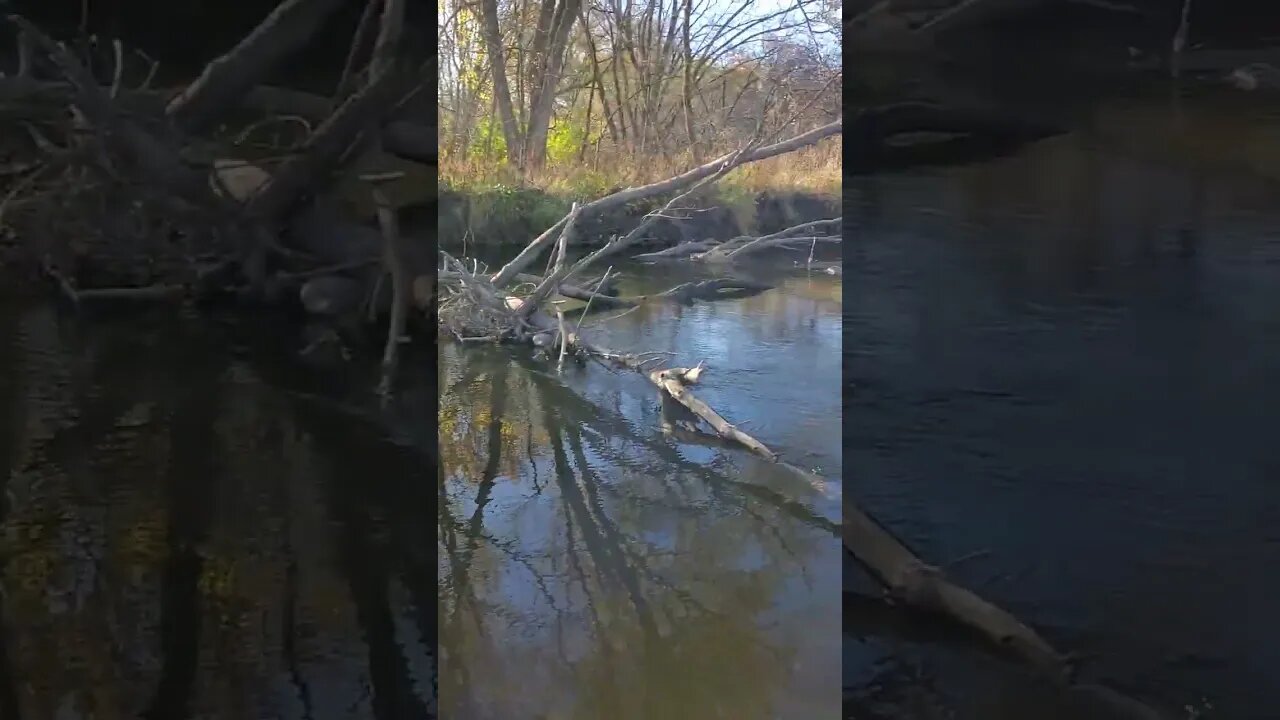 peaceful river calm waters.
