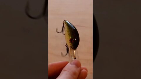 BRAND NEW lures found while lure Hunting! (Full Video in comments)